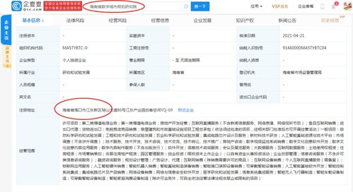 軟件外包服務(wù) 助力企業(yè)實(shí)現(xiàn)數(shù)字化轉(zhuǎn)型與成本優(yōu)化